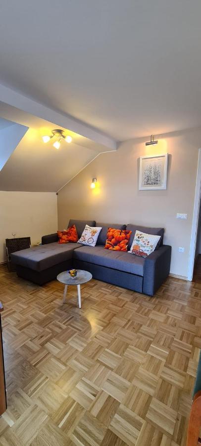 Apartment Kranj - Huge Terrace, Free P, Wi - Fi, Ac Exterior foto