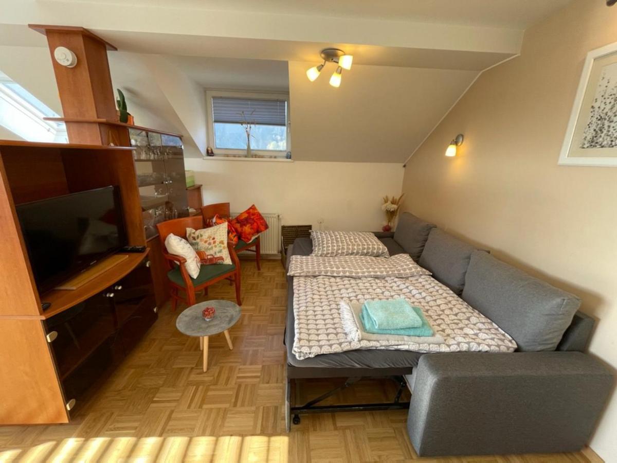 Apartment Kranj - Huge Terrace, Free P, Wi - Fi, Ac Exterior foto