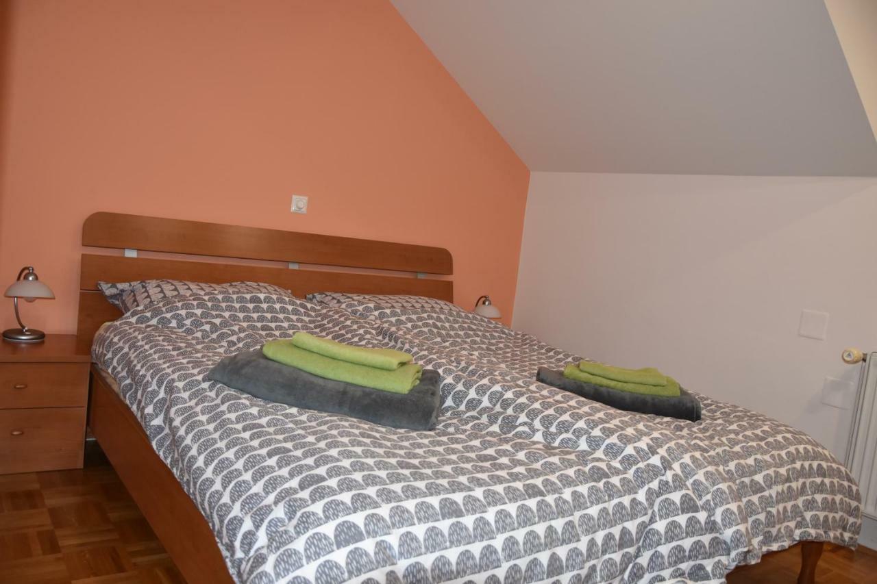 Apartment Kranj - Huge Terrace, Free P, Wi - Fi, Ac Exterior foto